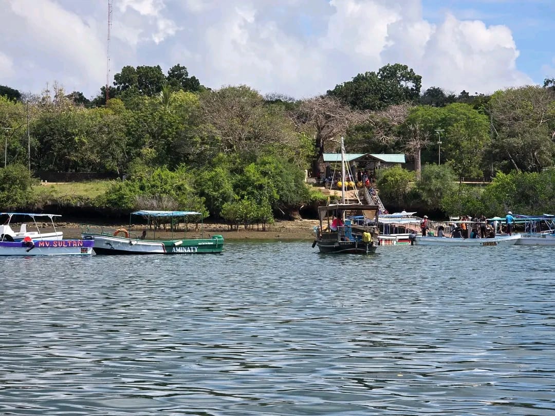 Tour boats at Shimoni harbour