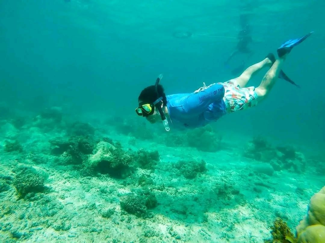 Snorkelling at Kisite Marine Park